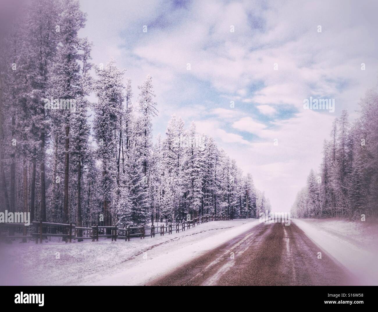 Grâce à une route de gravier et de gel neige-couvert de la forêt. Le sud de l'Alberta, Canada. Banque D'Images