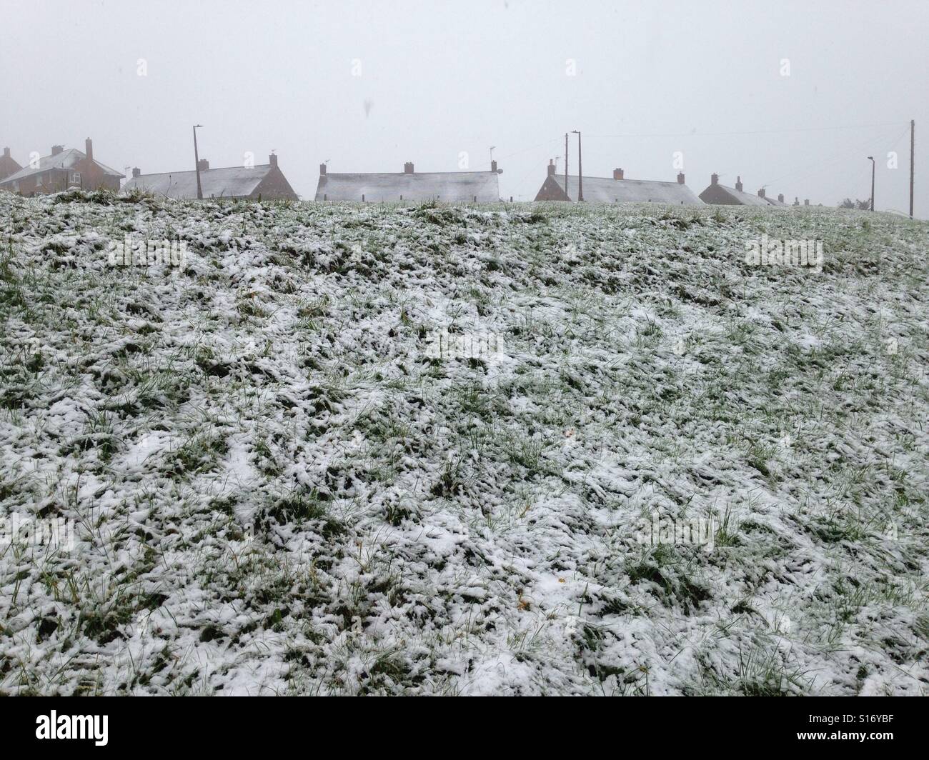 Le conseil d'hiver estate Banque D'Images