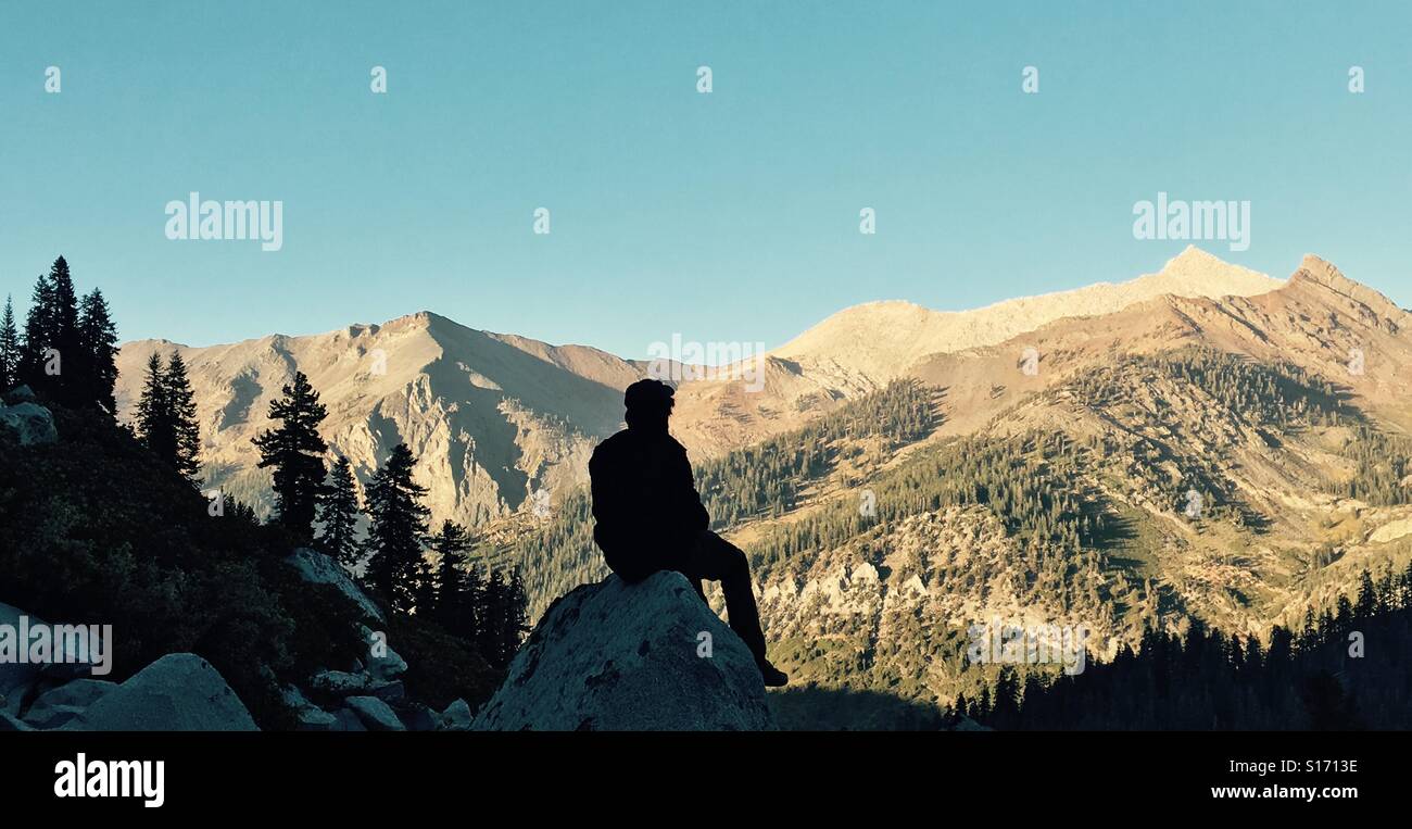 La Solitude. FaceTime avec la nature. Sequoia National Park. Banque D'Images