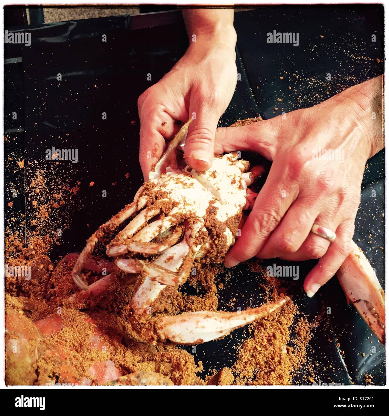 Ouvrir les mains d'un petit crabe bleu de la baie de Chesapeake, États-Unis, 2015 © Katharine Andriotis Banque D'Images