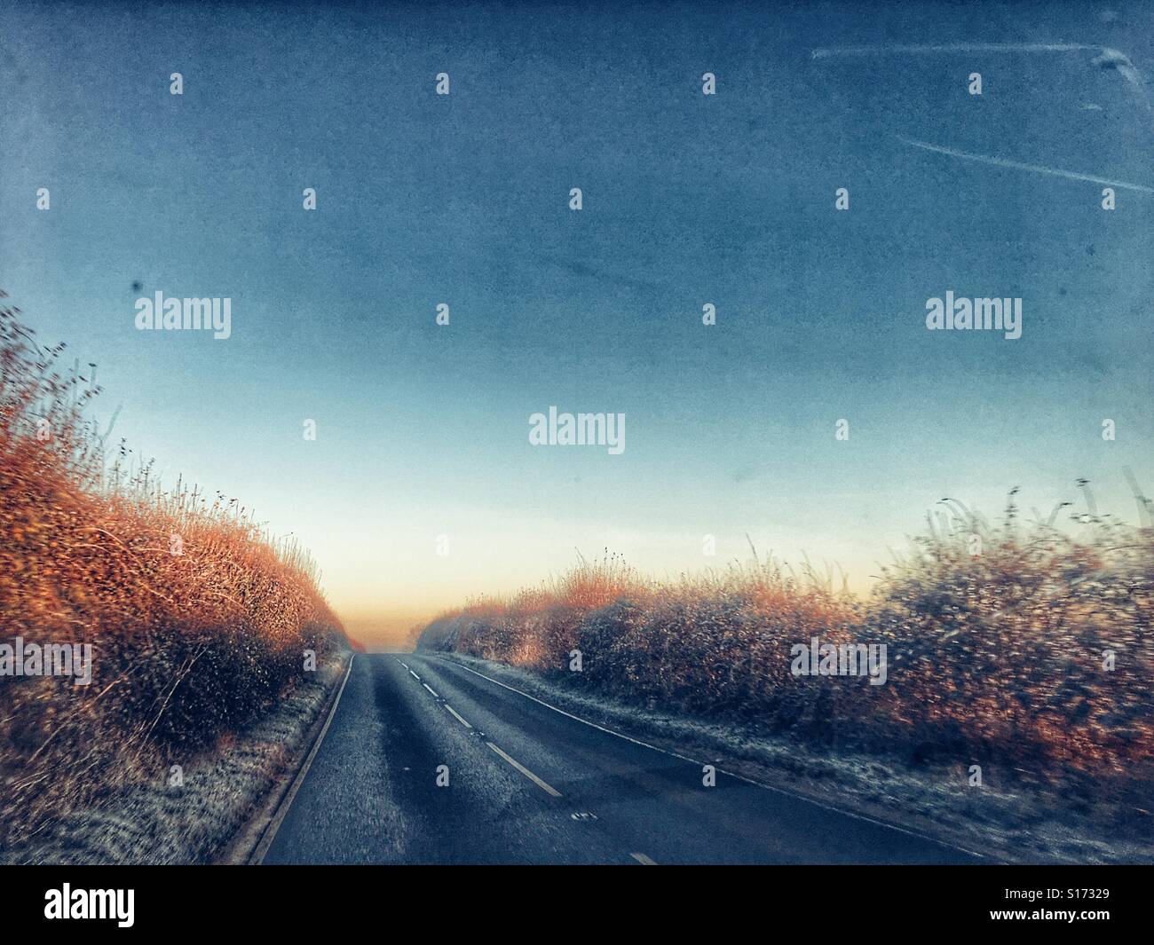 Route de campagne avec une très forte gelée, tôt le matin en hiver. Banque D'Images