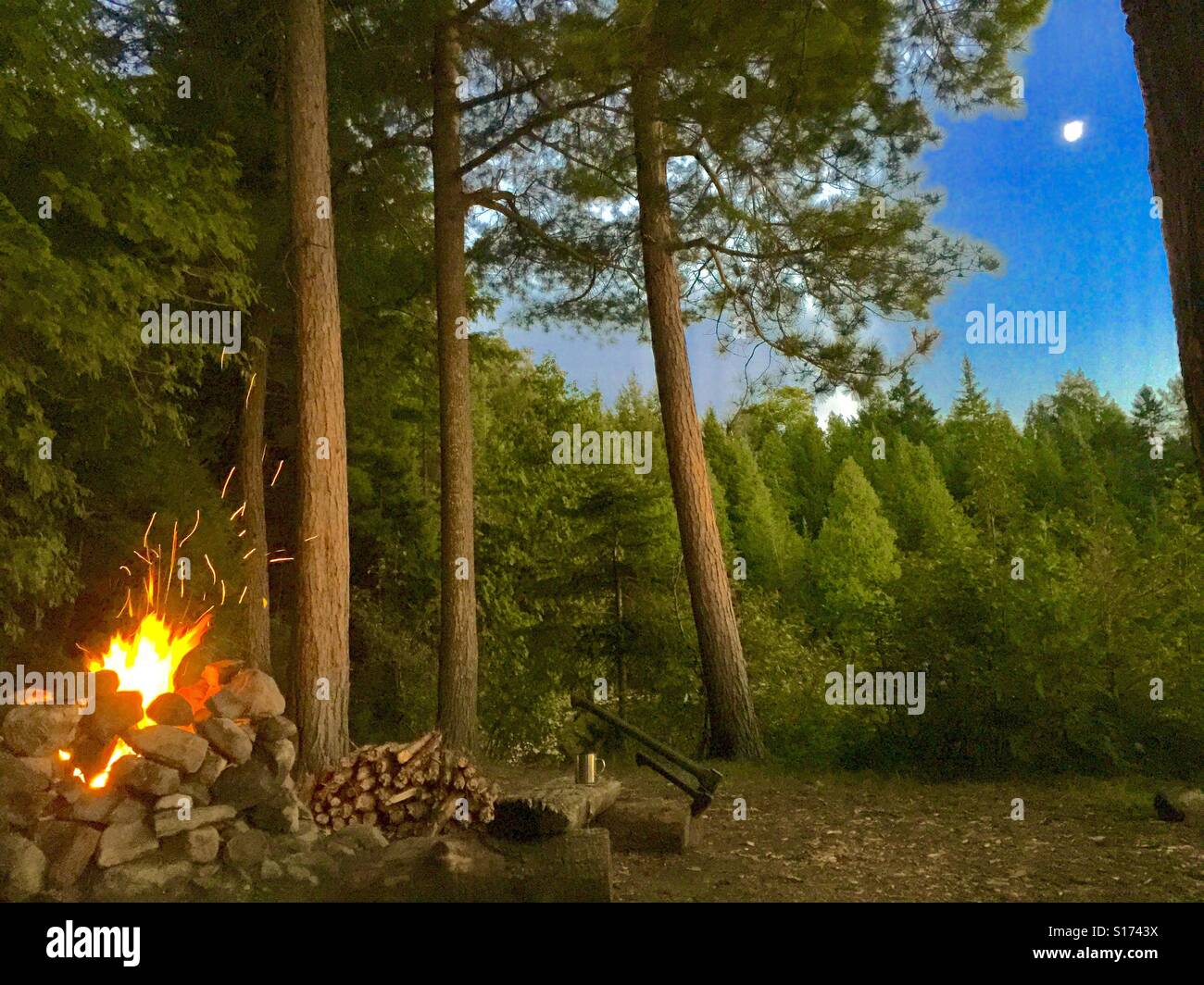 Les flammes de feu de camp Camping La Forêt avec vue sur la Lune Banque D'Images
