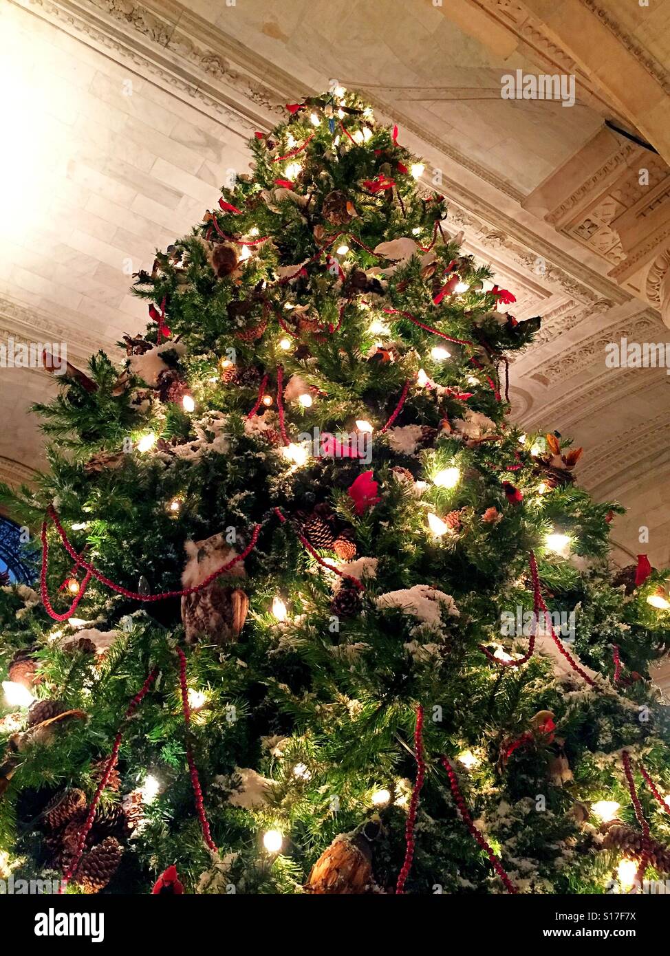 L'immense arbre de Noël est au Astor Hall à la main New York Public Library building sur la Cinquième Avenue, NYC - Image de stock capturée avec un smartphone
