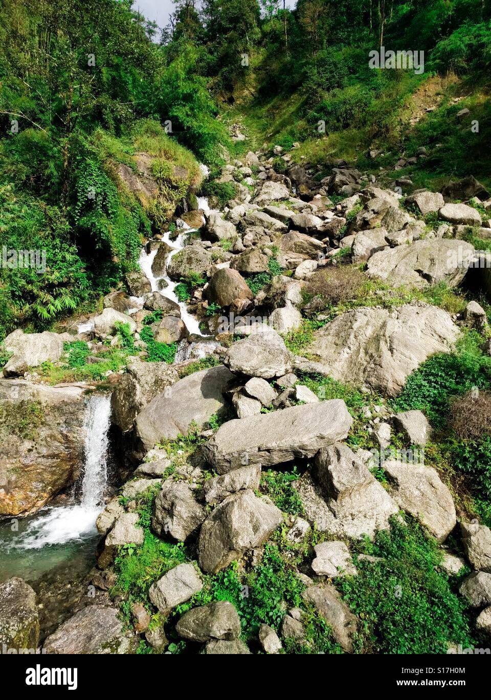 Printemps de l'eau dans la vallée Yumthang Inde Banque D'Images