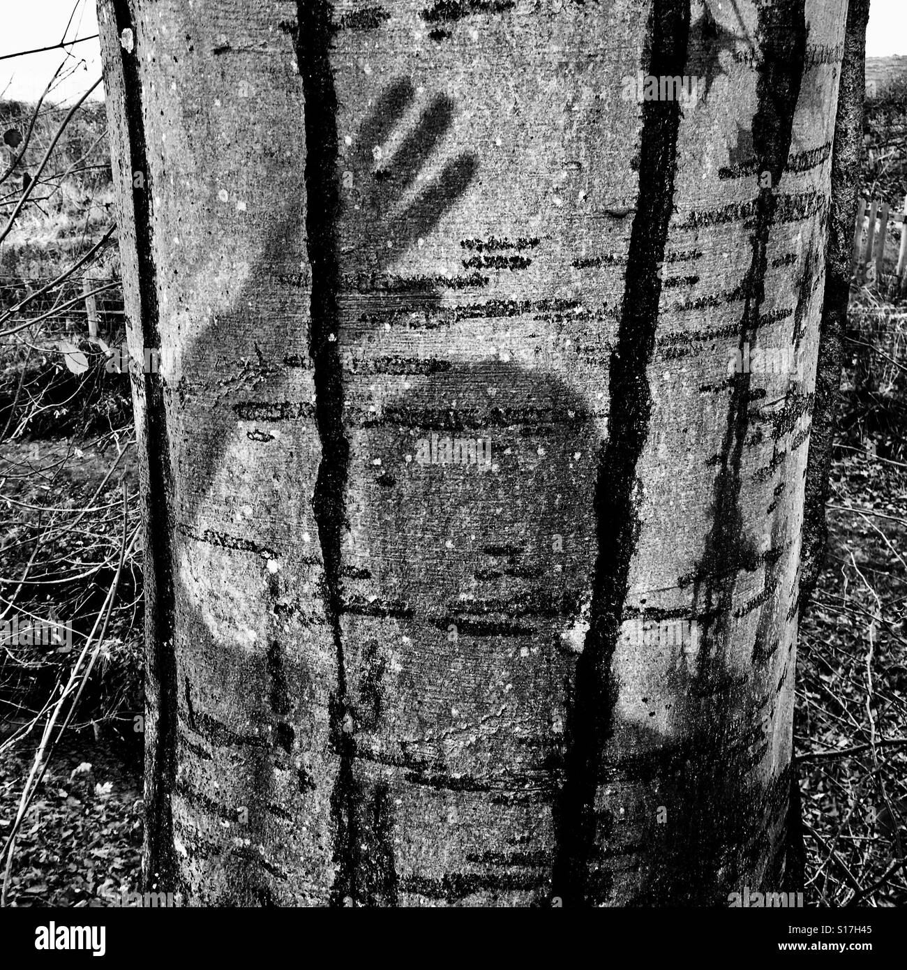 Un mans ombre sur un tronc d'arbre en hiver Banque D'Images