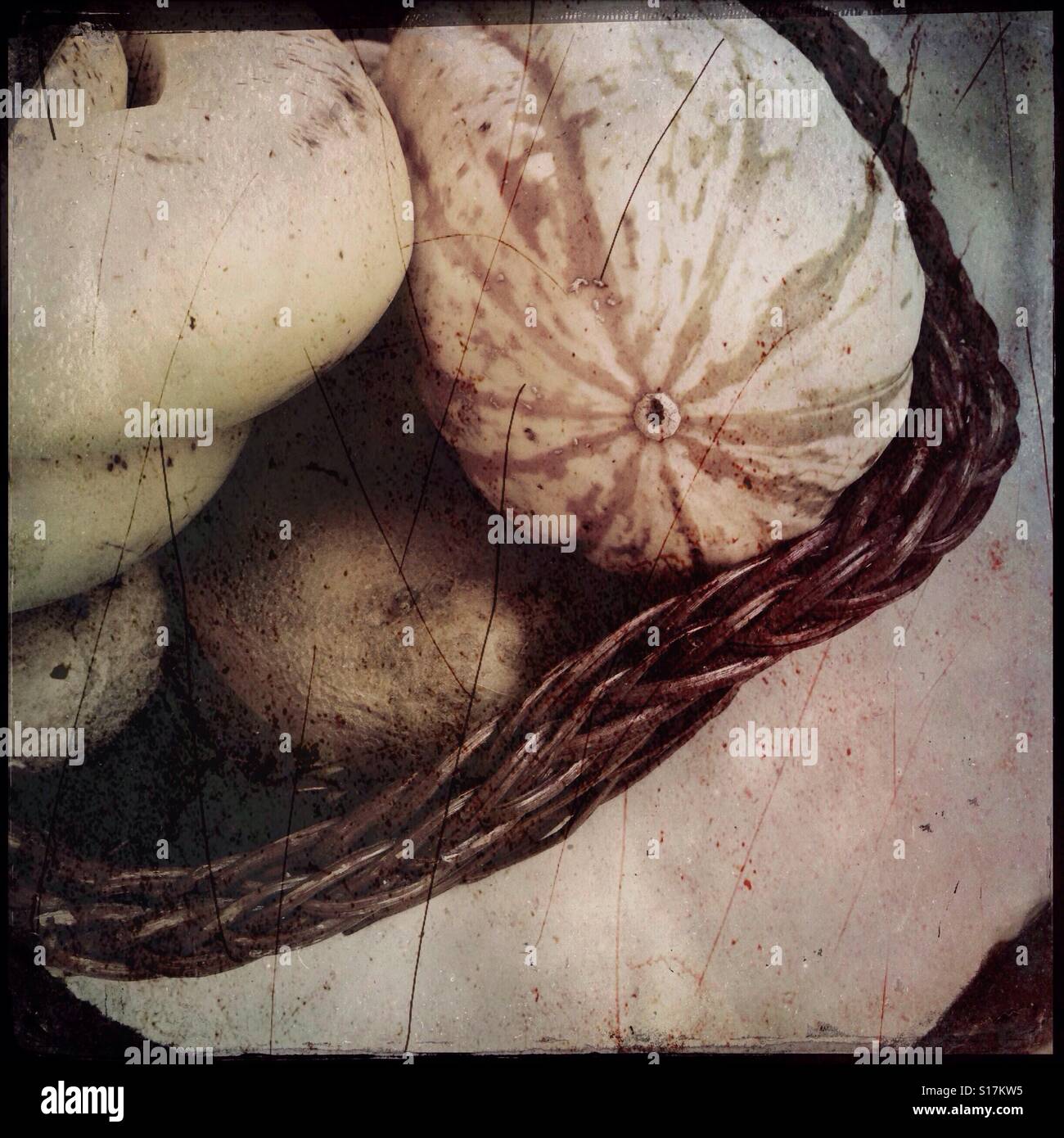 Antique stylisé photo de légumes encore en vie avec panier de courges et de légumes variés Banque D'Images