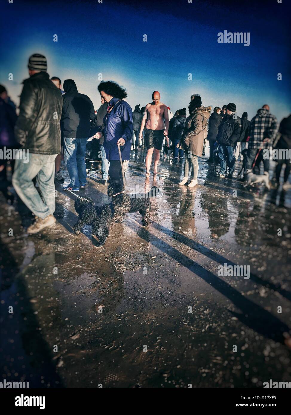 Boxing Day dip annuel à Redcar dans Teeside, Angleterre. Un nageur quitte l'eau et sort des spectateurs 2016 Banque D'Images