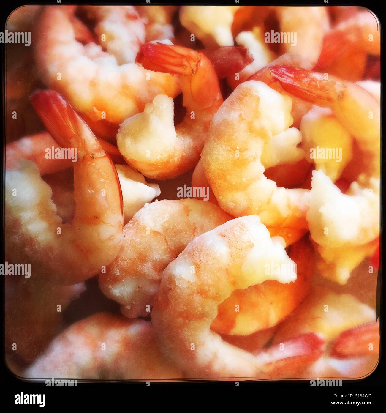 Queues De Crevettes Banque d