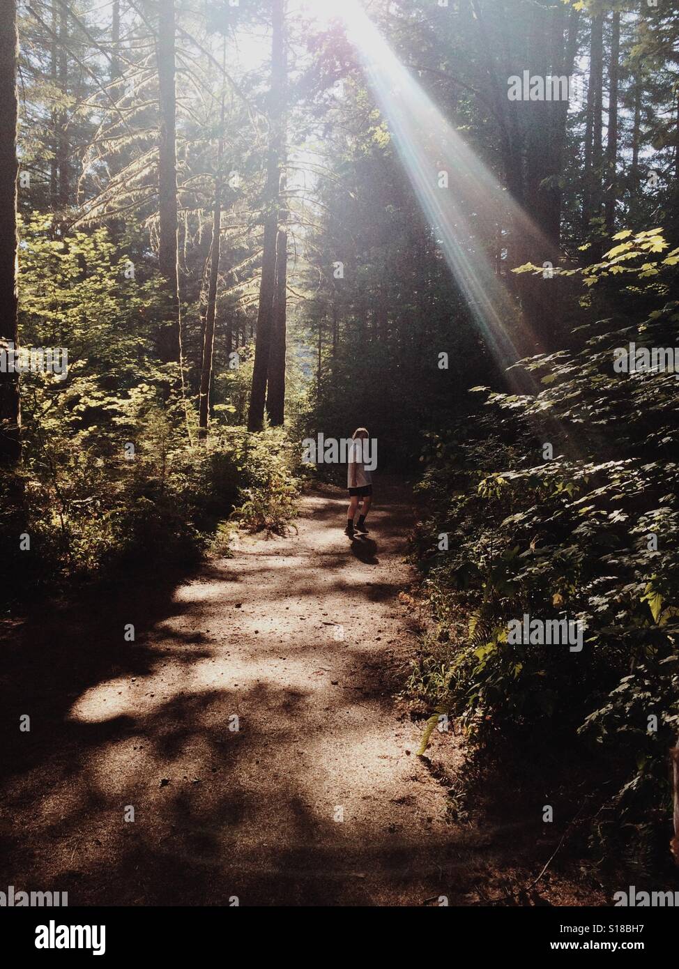 Sentier forestier Banque de photographies et d’images à haute ...