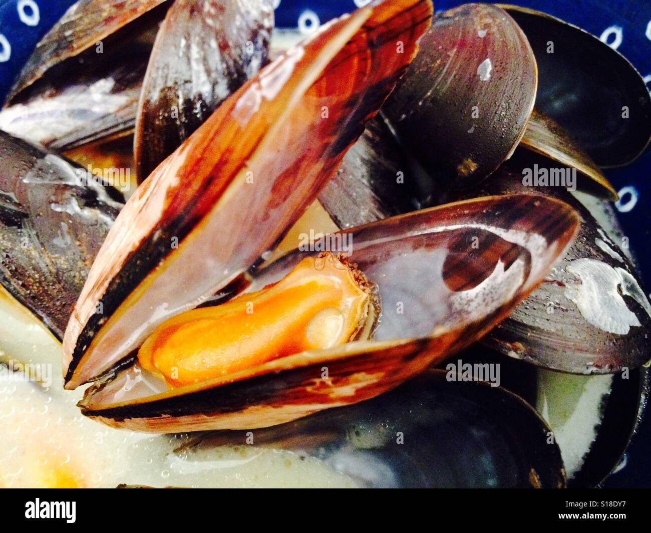 Waitrose mussels Banque de photographies et d’images à haute résolution