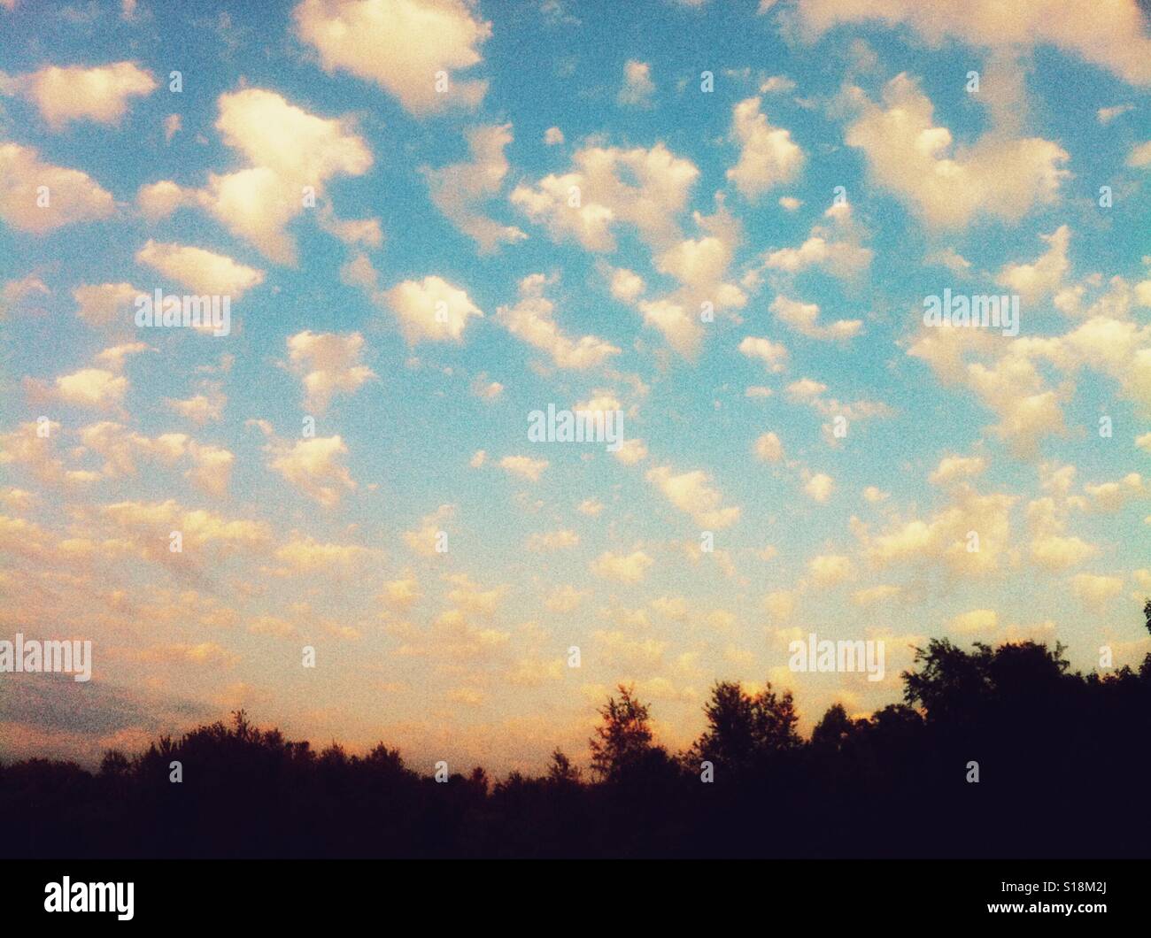 Coton comme les nuages, ciel de couleur pastel dans doux, s'estompe le coucher du soleil, avec un horizon bas et la peinture comme l'atmosphère - Image de stock capturée avec un smartphone