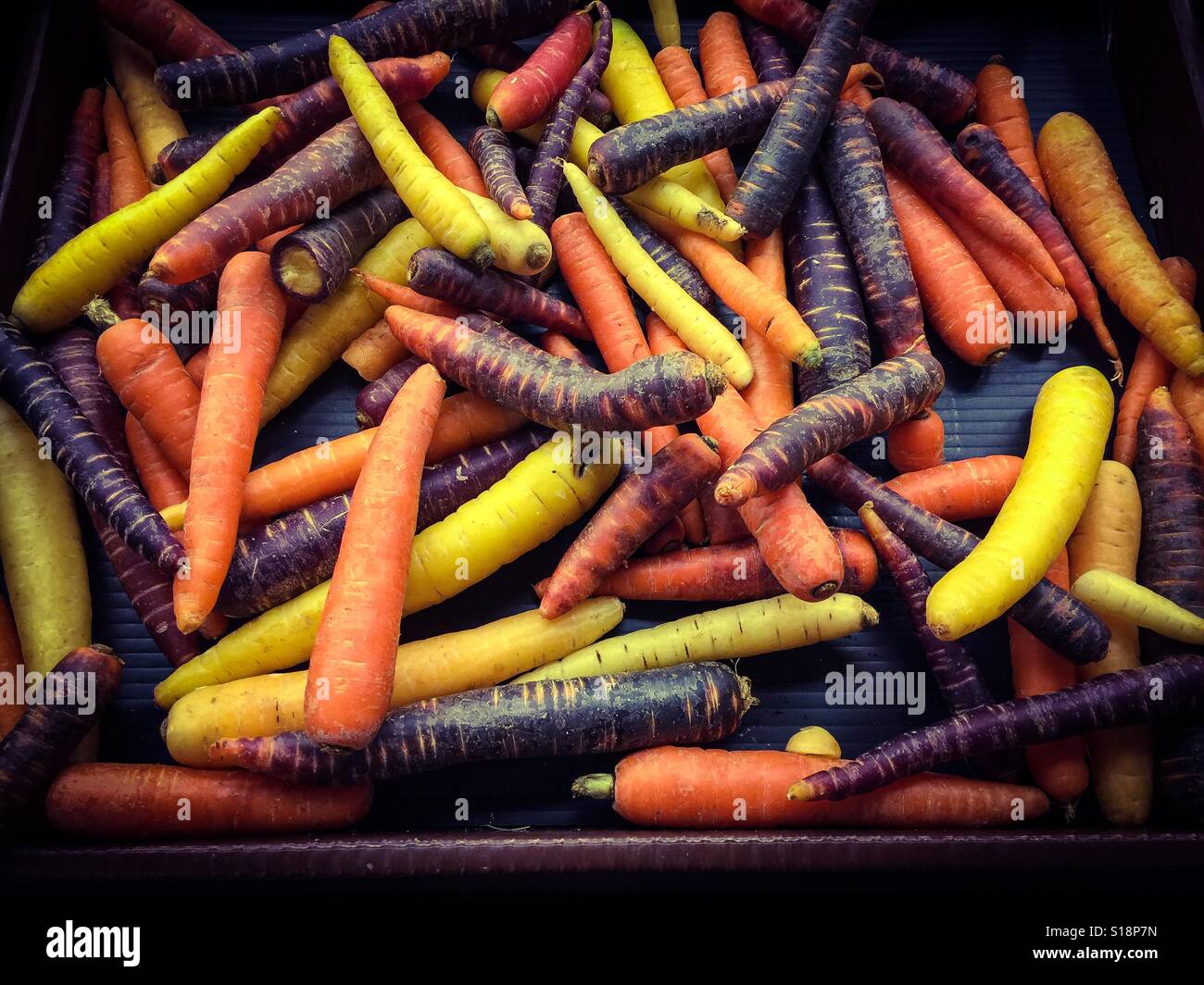 Les carottes de couleurs Banque D'Images