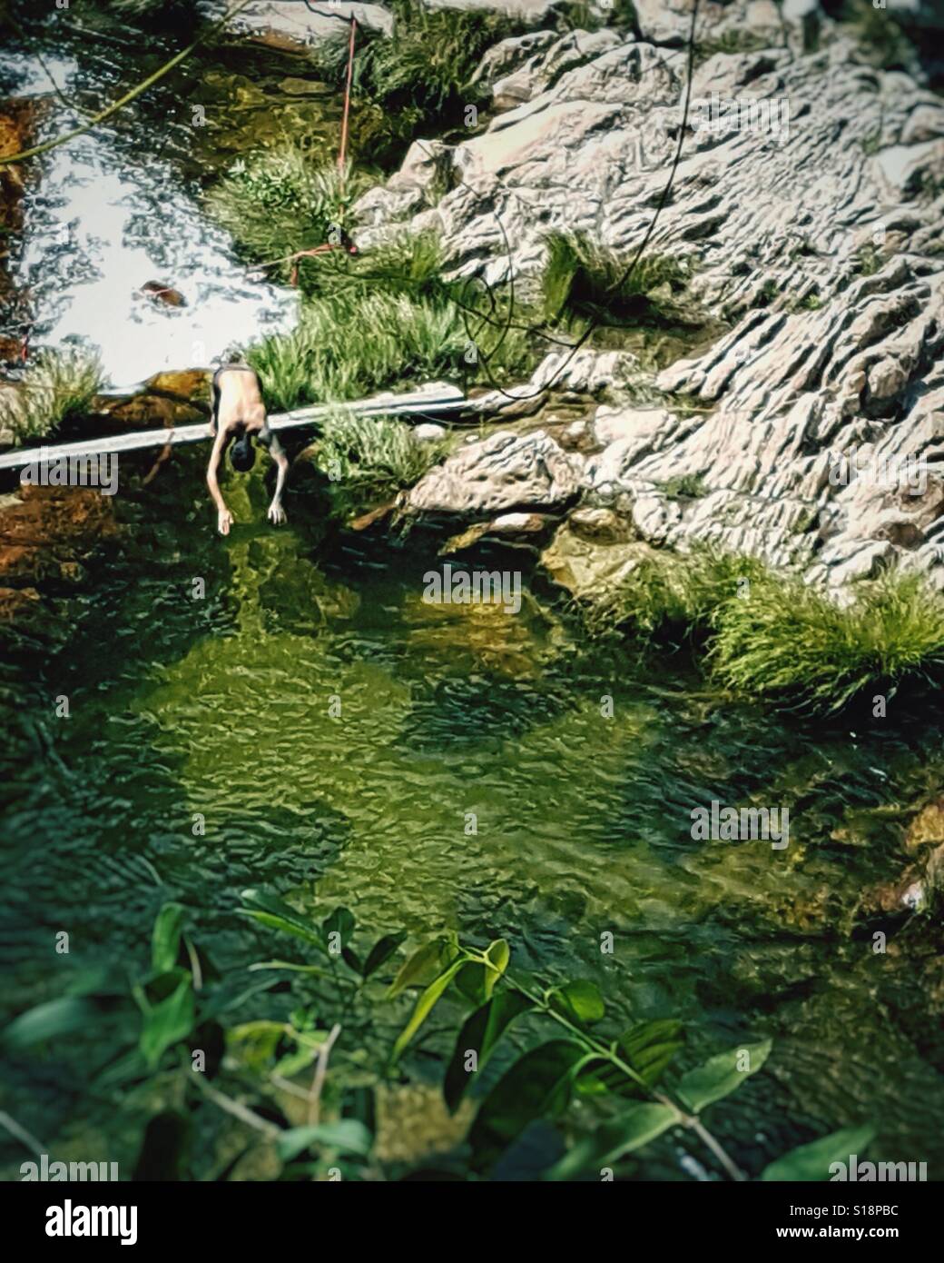 Man sur vert piscine naturelle à Chapada dos Veadeiros, au Brésil. Banque D'Images