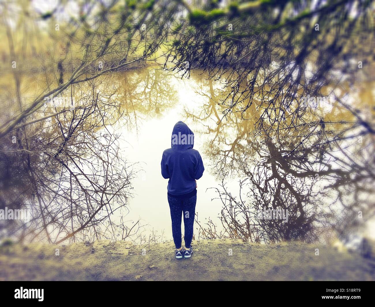 Une personne et un sweat avec vue sur un lac, entouré par les branches d'arbres. Banque D'Images