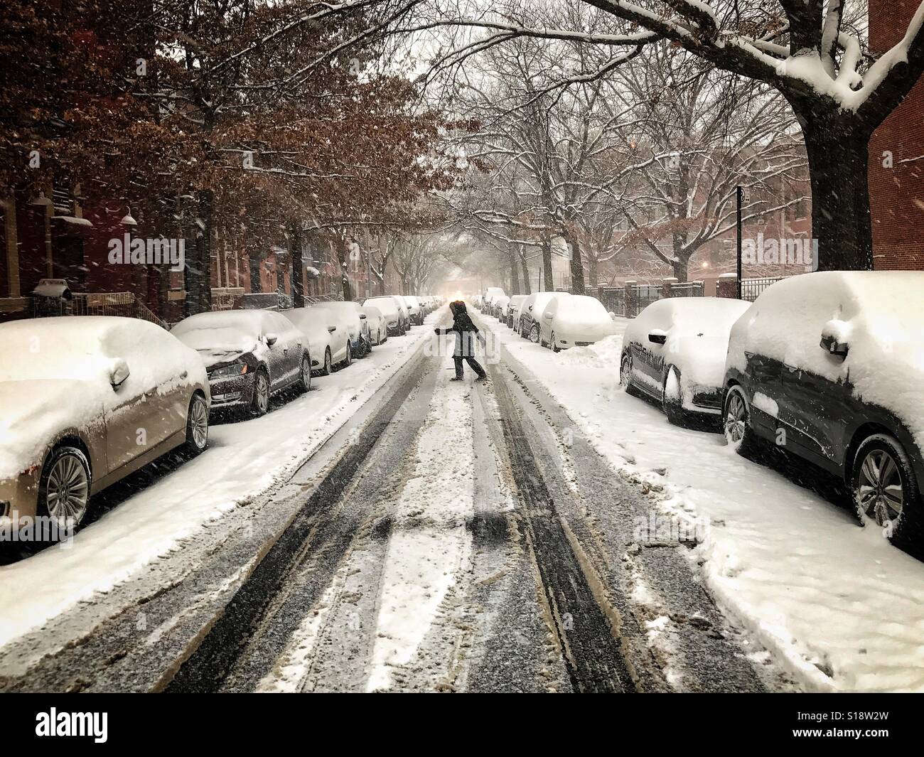 Une femme marche dans une rue de Park Slope, Brooklyn lors d'une tempête d'hiver. Banque D'Images