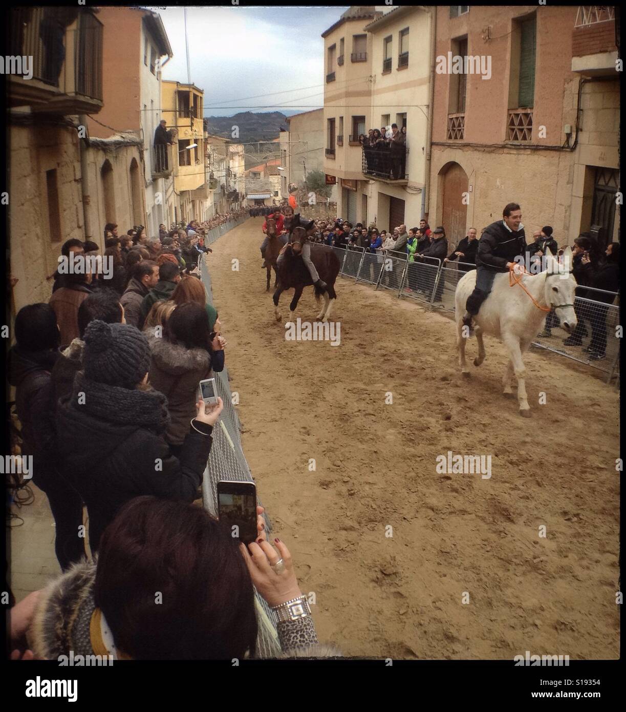 L'Âne, le mulet et la course de chevaux a lieu pendant la Fiesta de San Antonio dans le village d'Ascó, Catalogne, Espagne. Banque D'Images