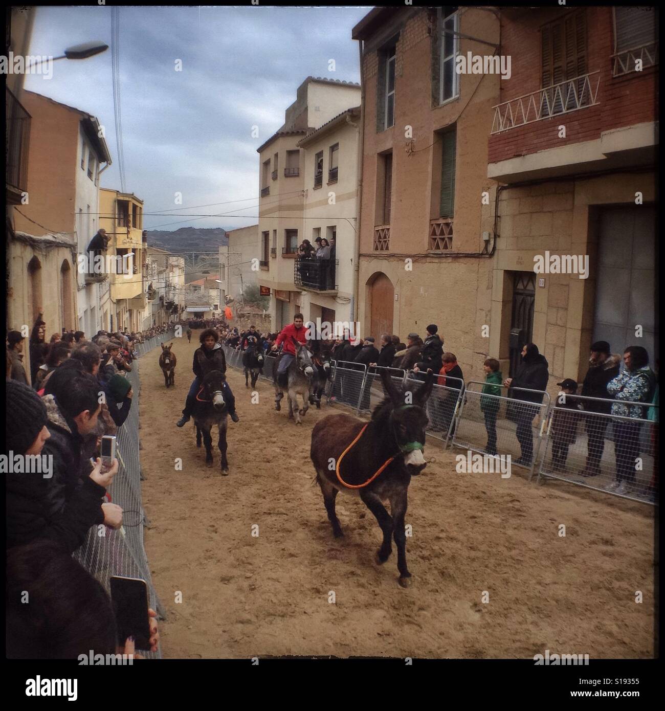 L'Âne, le mulet et la course de chevaux a lieu pendant la Fiesta de San Antonio dans le village d'Ascó, Catalogne, Espagne. Banque D'Images