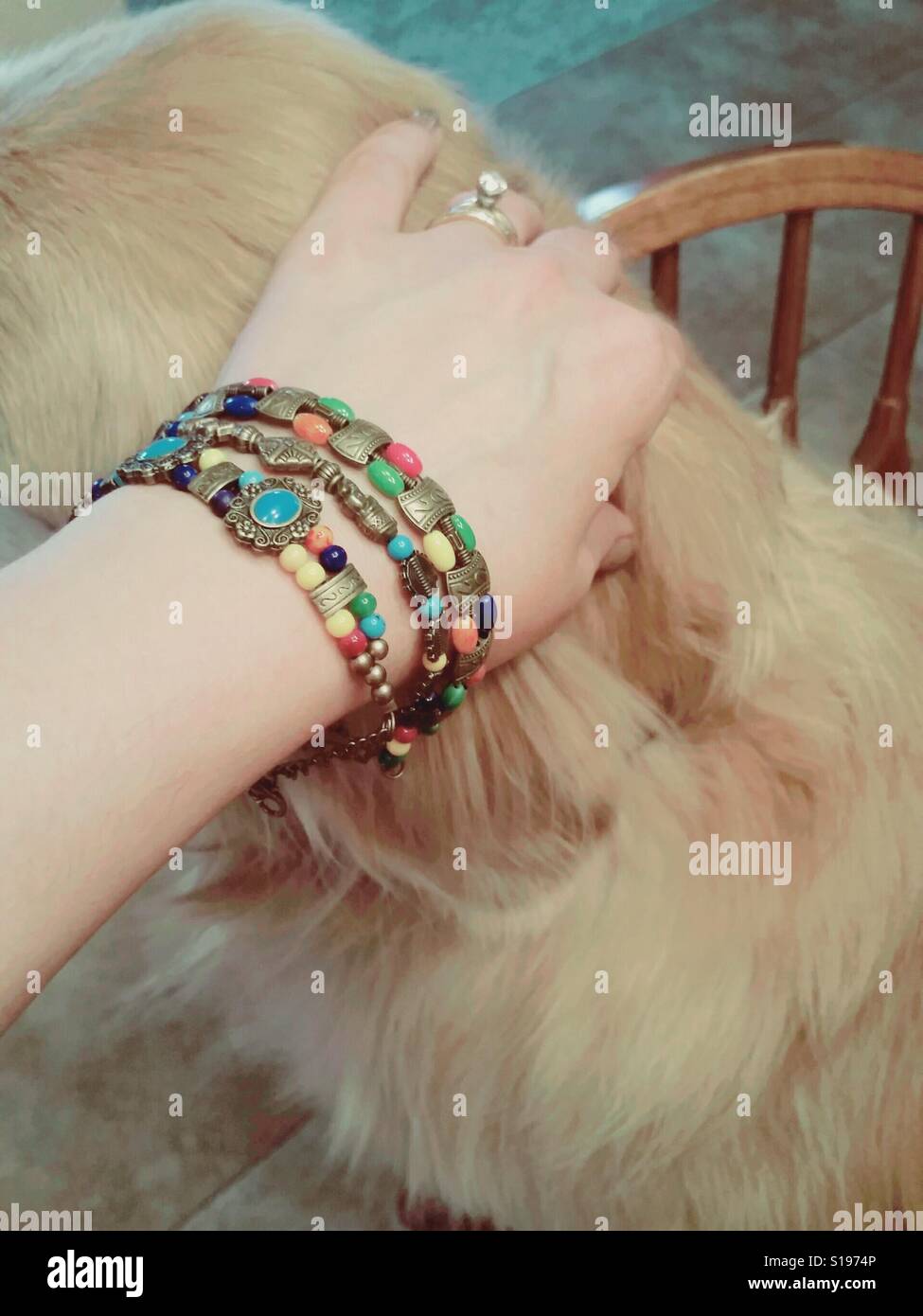 La main avec des bracelets, Petting Dog Banque D'Images