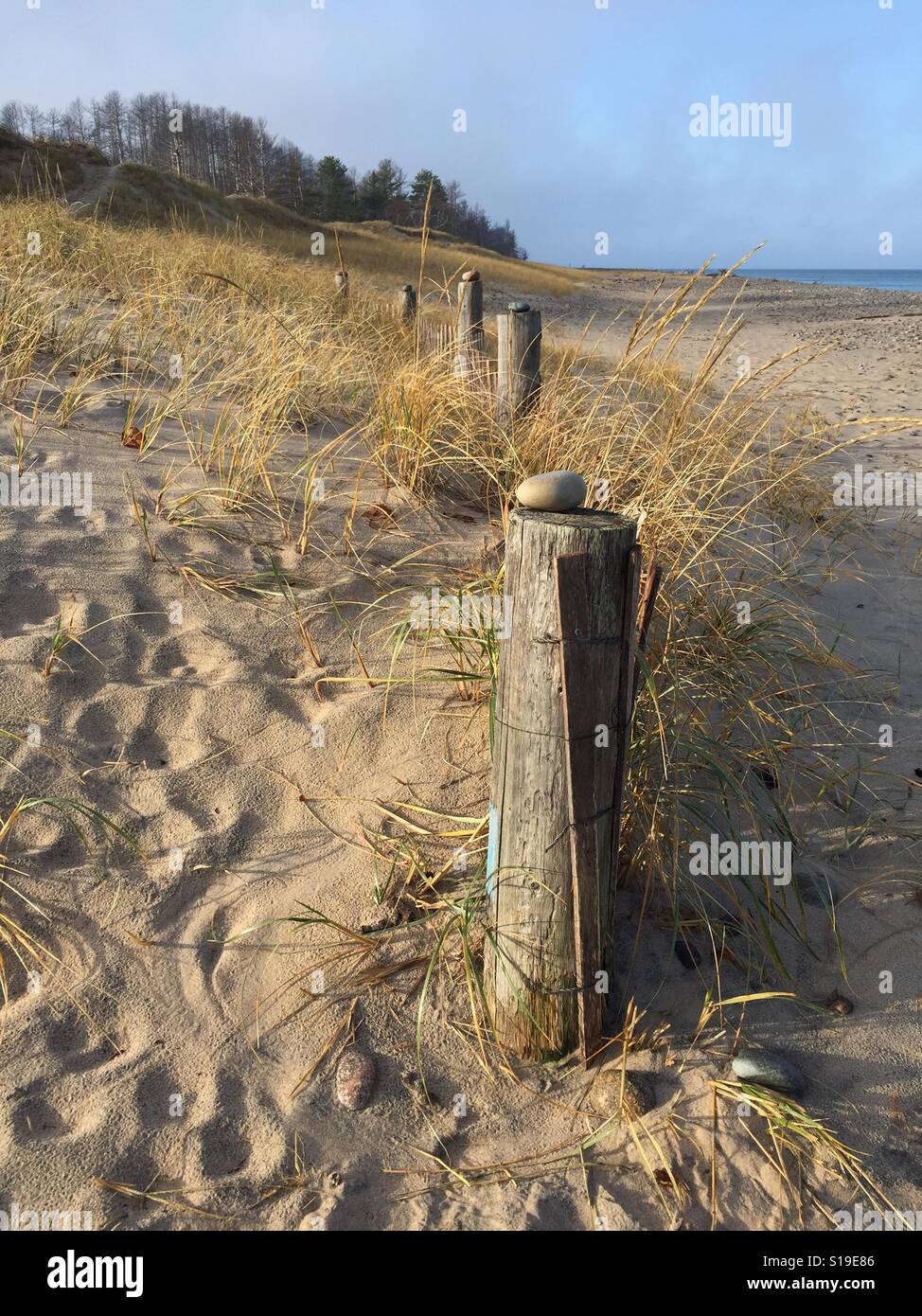 Poteaux de bois le long d'une plage dans le nord du Michigan. Un rocher est situé au-dessus de chaque poste. Banque D'Images