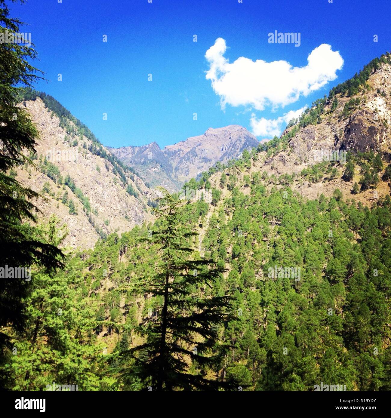 Parvati Valley, Manikaran Himachal Pradesh, en Inde. (2013) Banque D'Images