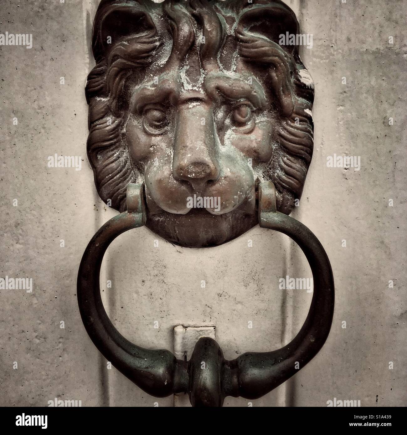 Old Lion head heurtoir sur porte blanche - Image de stock capturée avec un smartphone