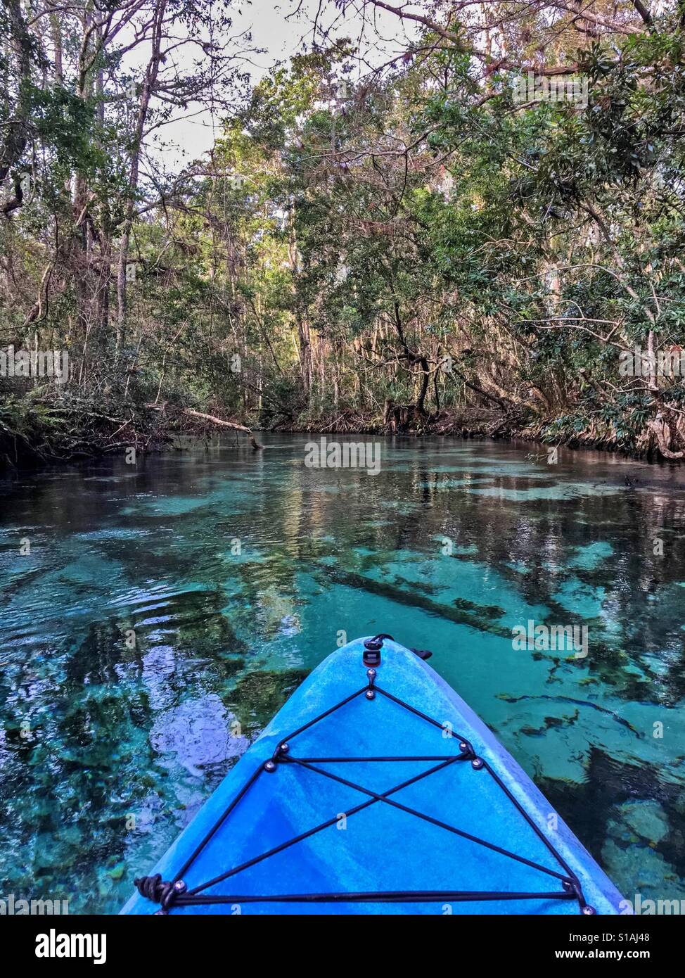 Kayak sur la Weeki Wachee Springs Banque D'Images