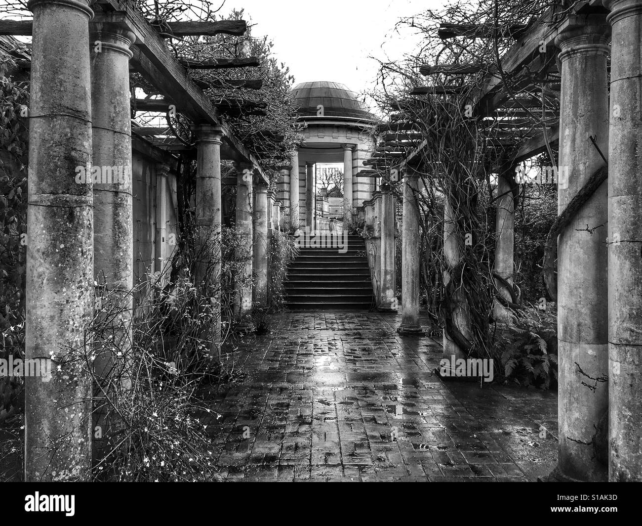 Photo en noir et blanc de la pergola dans le jardin de la colline en début d'après-midi à West Heath, Hampstead Heath, Londres, Angleterre, Royaume-Uni. Banque D'Images