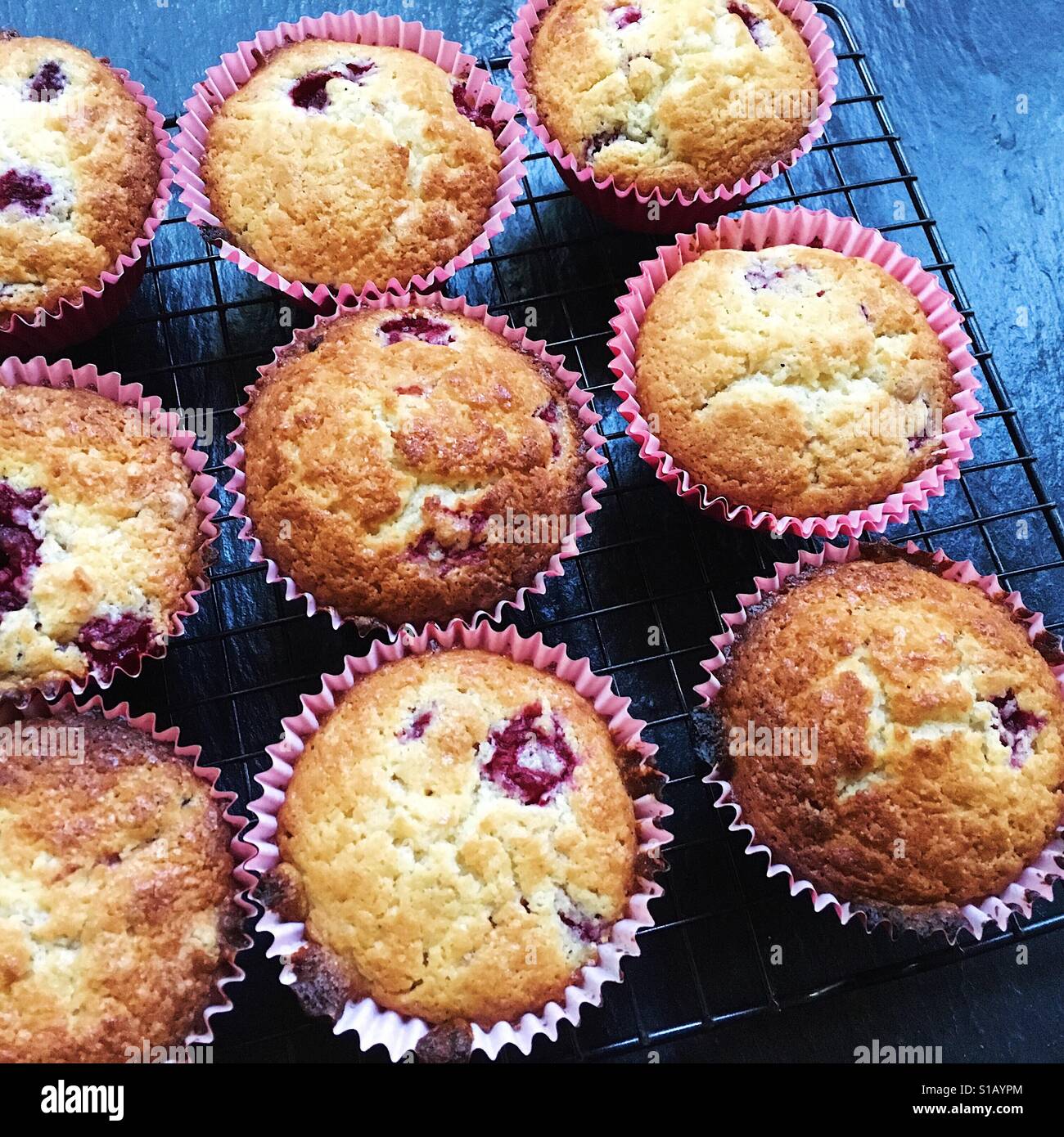 Yogourt aux framboises gâteau français Banque D'Images