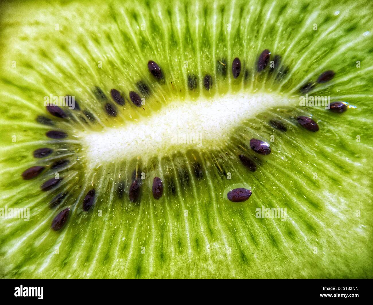 Close up macro photographie du centre d'un vert kiwi frais. Banque D'Images