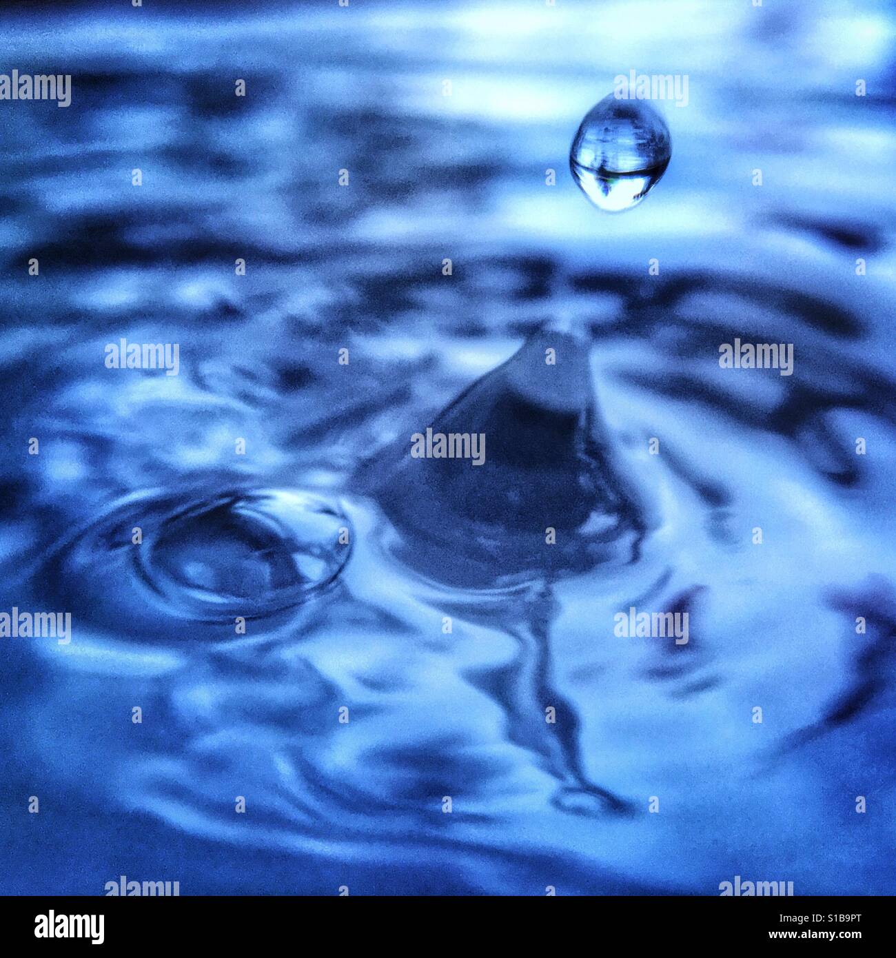 Close-up iPhone photographie prise avec un objectif macro Pièce jointe d'un éclaboussement de gouttelette d'eau dans un bassin d'eau. Banque D'Images