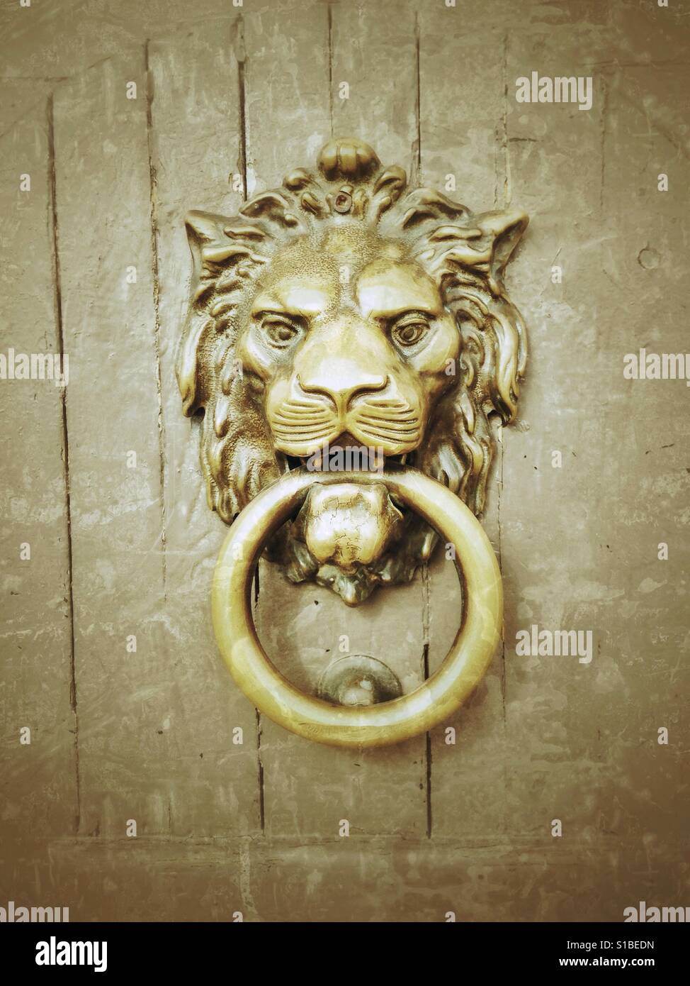Tête de Lion heurtoir - Image de stock capturée avec un smartphone