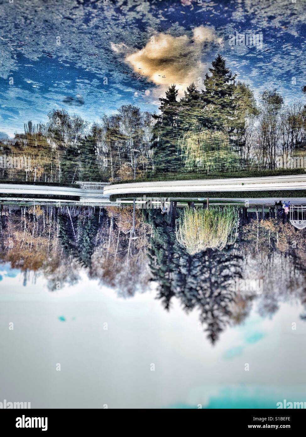 La nature reflète dans l'eau, un effet miroir Photo Stock - Alamy