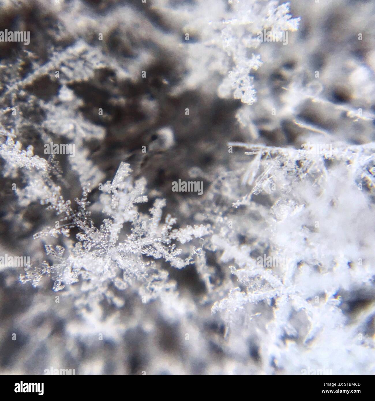 Flocons de close up - Image de stock capturée avec un smartphone
