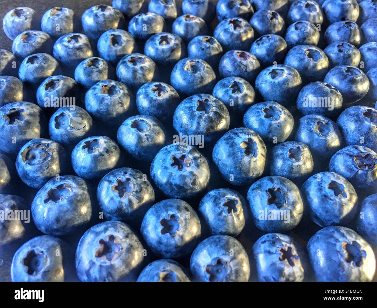 Bleuets - Image de stock capturée avec un smartphone