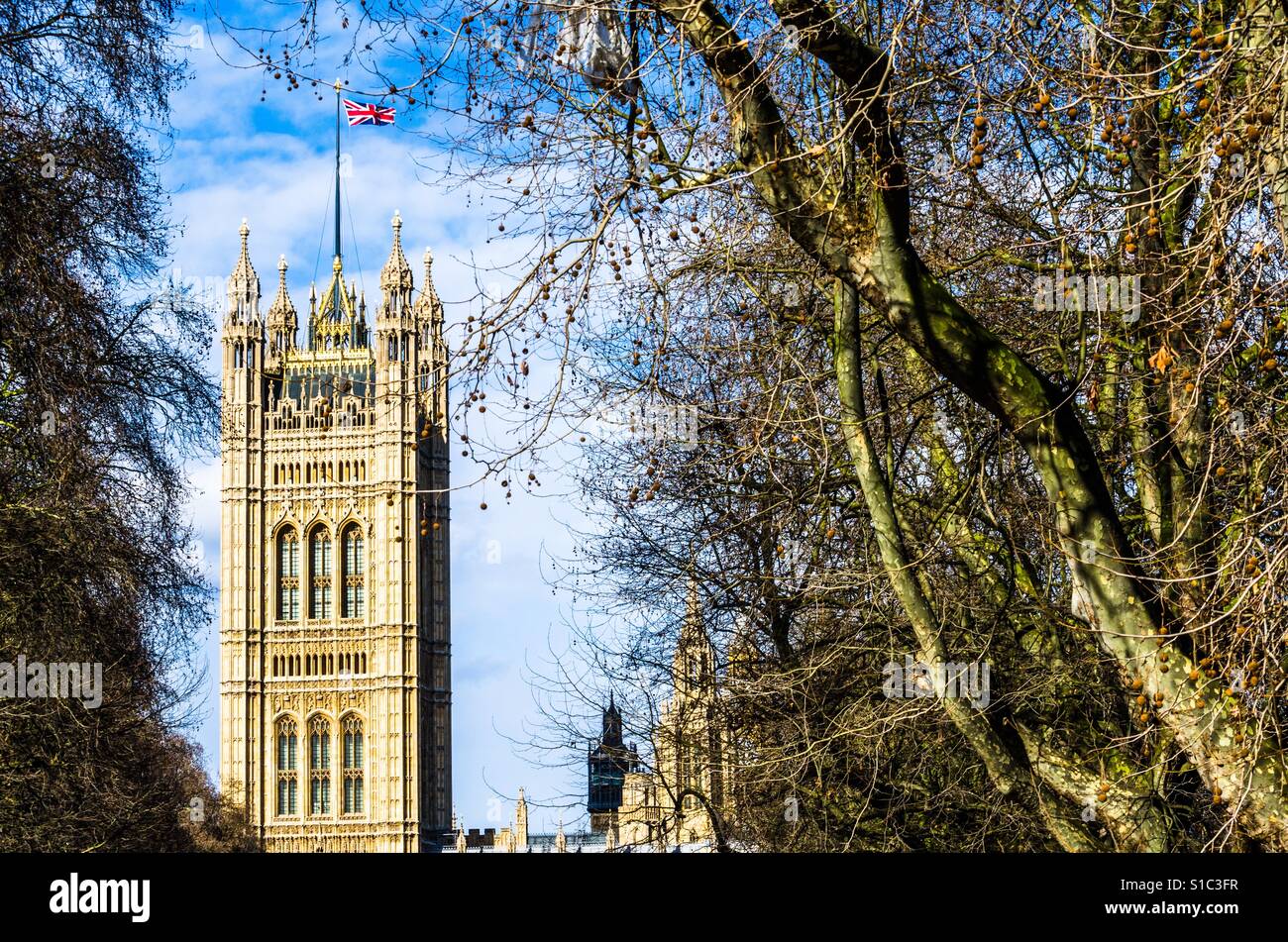 Palais de Westminster et le Parlement britannique à travers les arbres comme l'Union Jack vole au-dessus de Banque D'Images