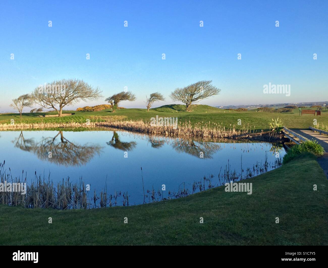 Réflexions, matin de printemps en Irlande - Image de stock capturée avec un smartphone