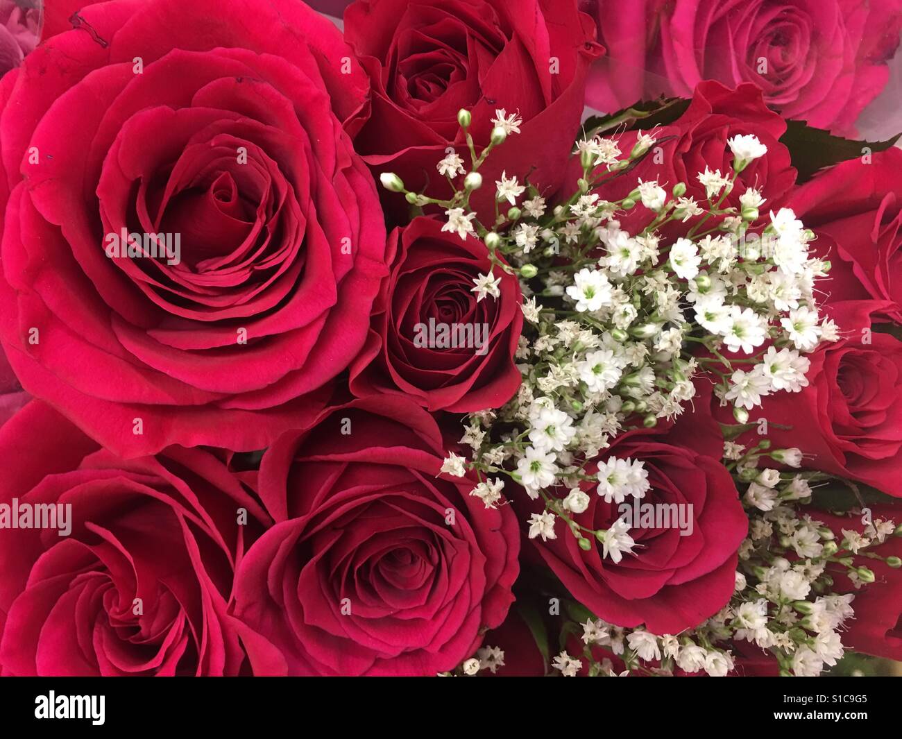 Boquet rose rouge - Image de stock capturée avec un smartphone