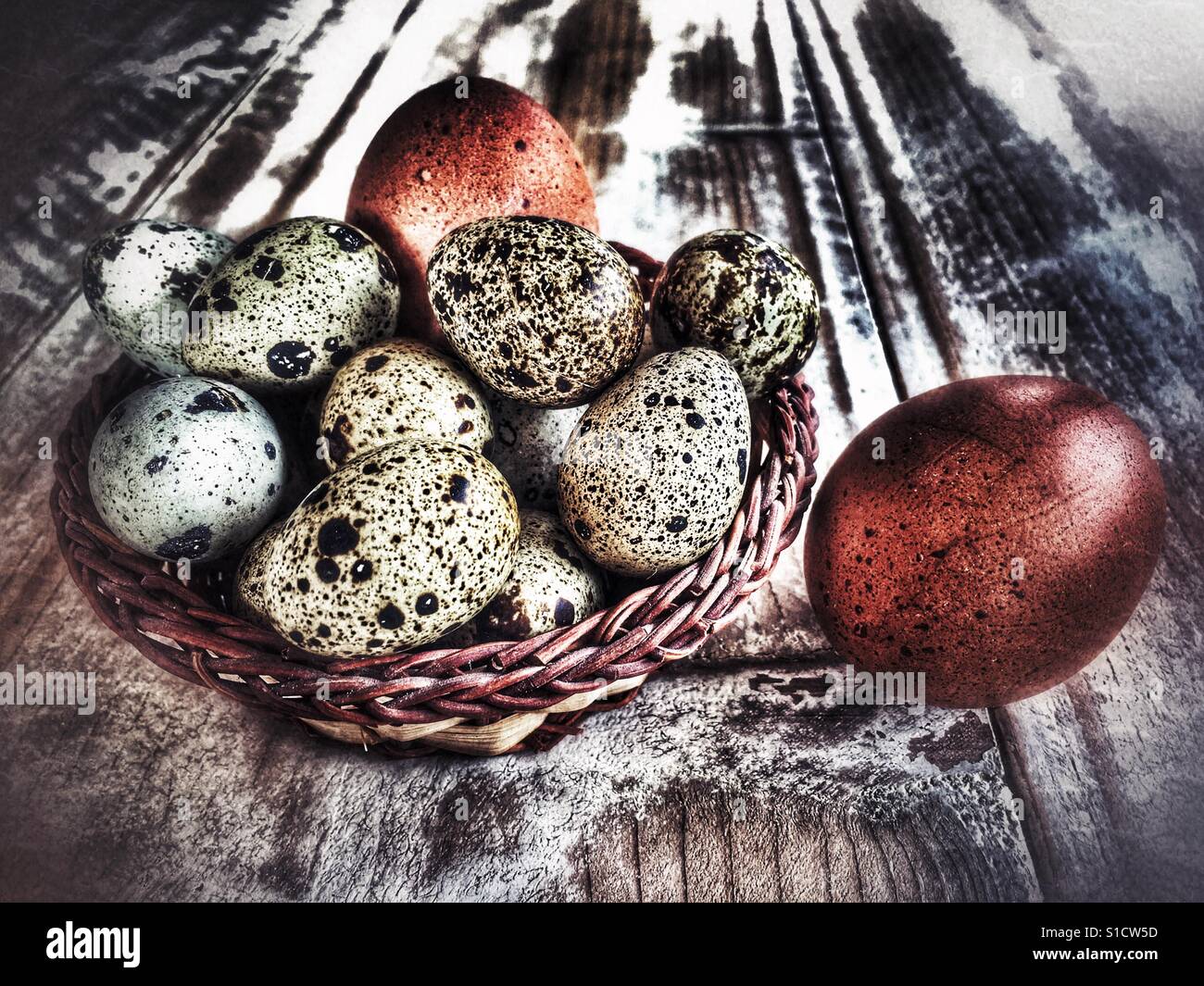Oeufs de caille et oeufs de poulet - Image de stock capturée avec un smartphone