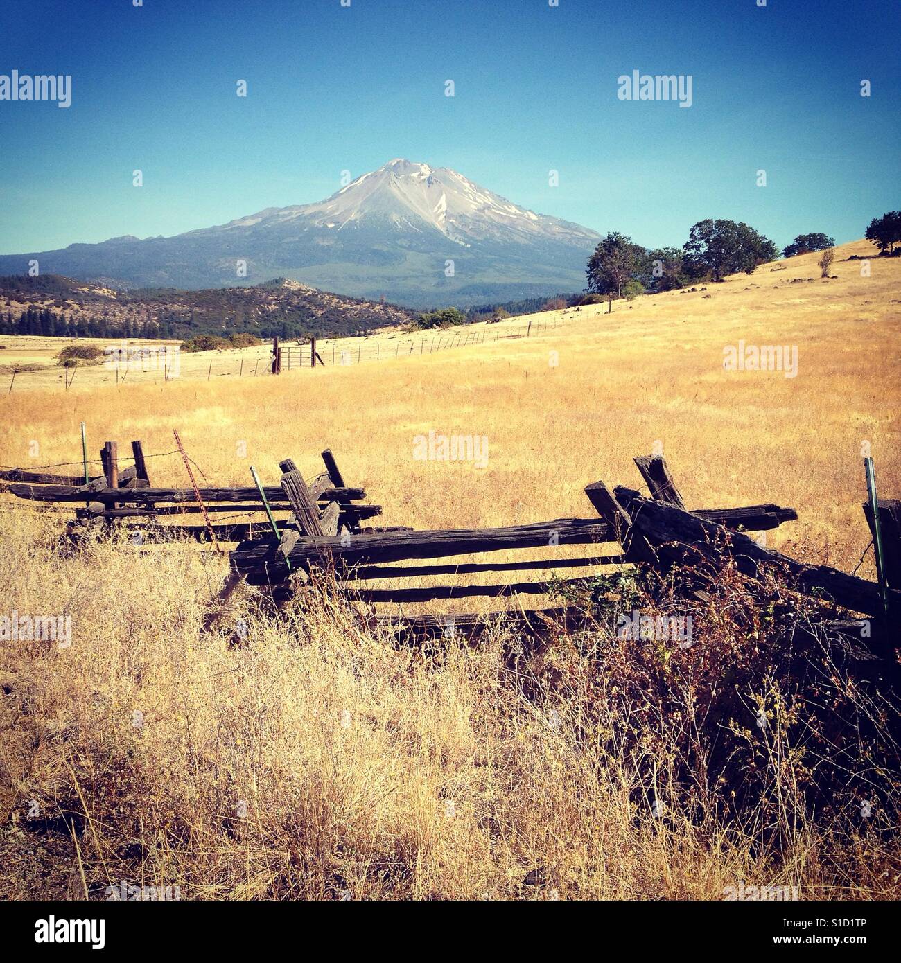 Backroad avec Mt. Shasta en arrière-plan en Californie du Nord. Banque D'Images