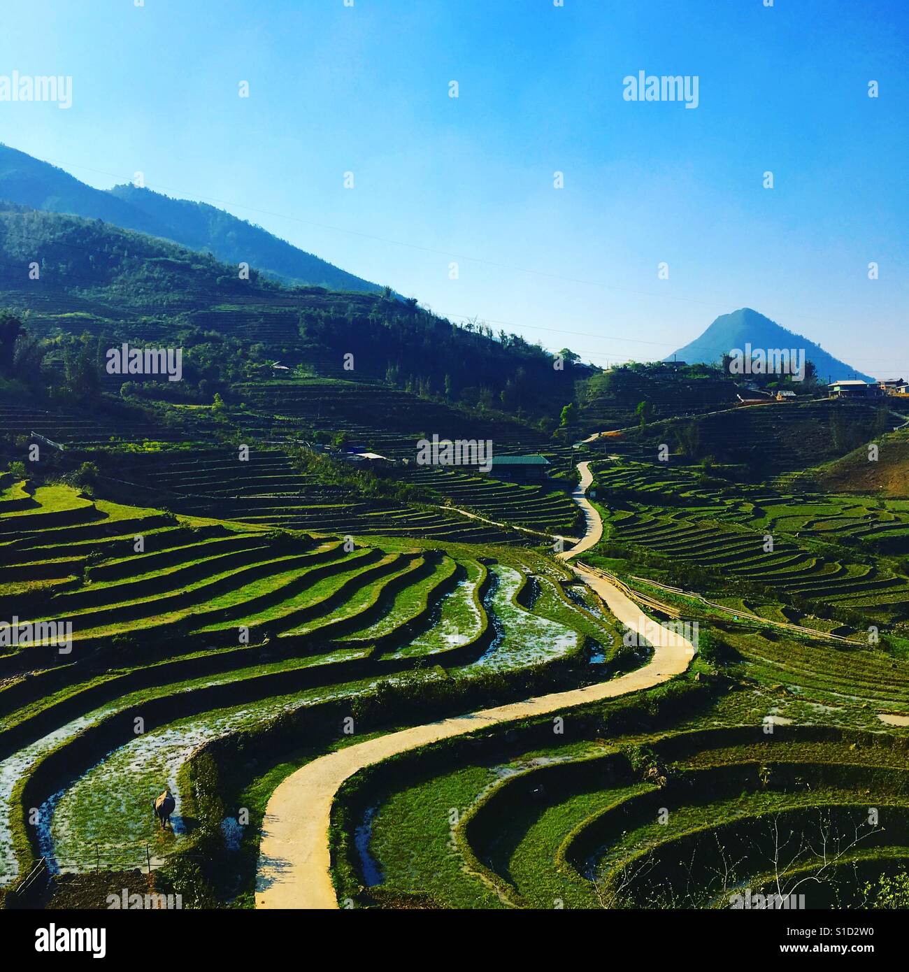 Grande route sinueuse pour une promenade autour de Sapa Banque D'Images