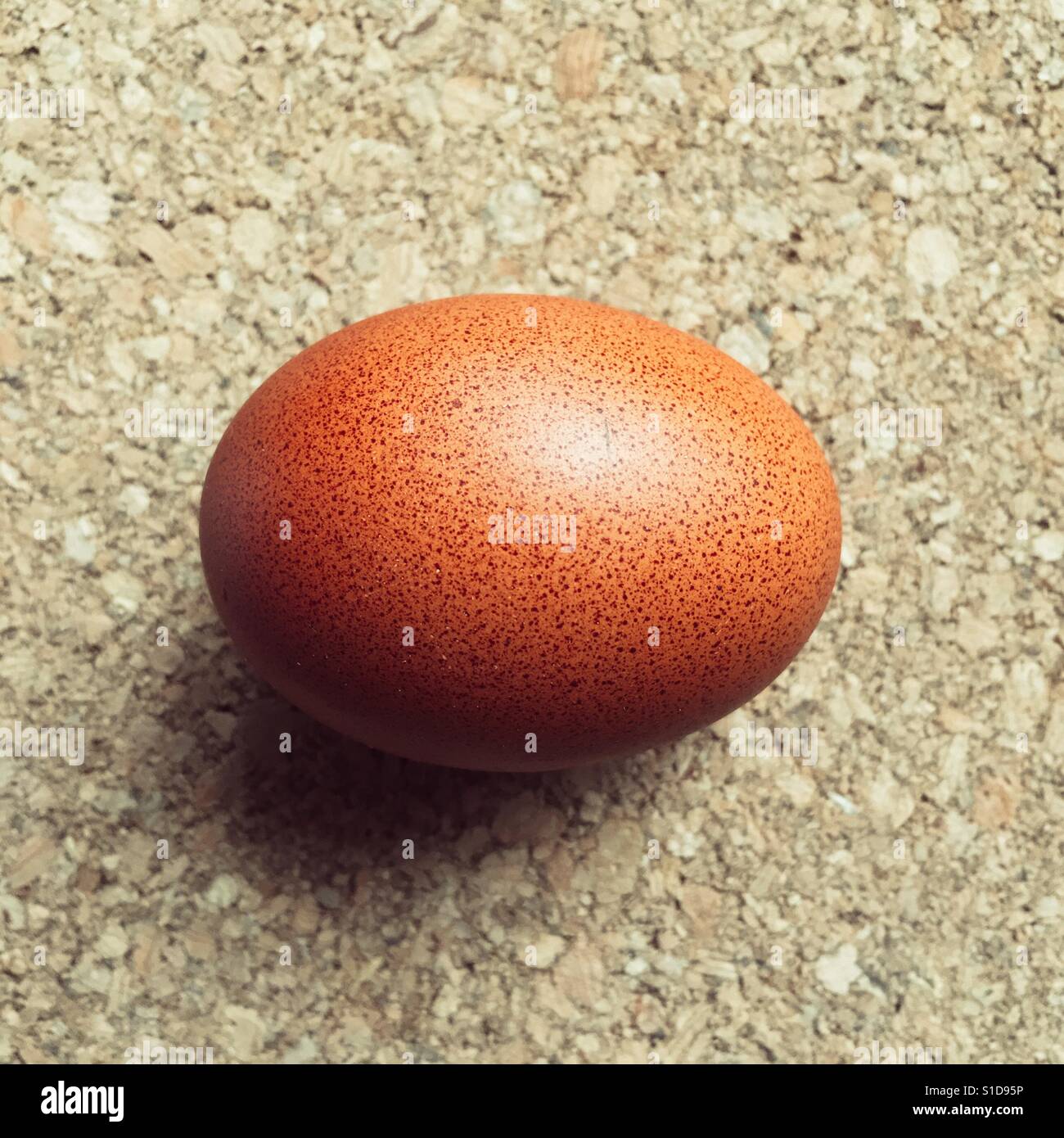 Seul repéré brown egg sur surface en liège Banque D'Images