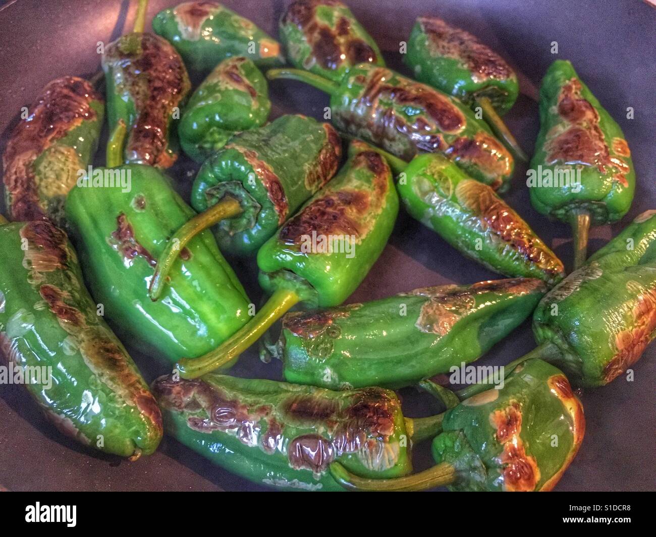 Pimientos de Padron, Capsicum annum, de Galice, une spécialité de la région. Banque D'Images