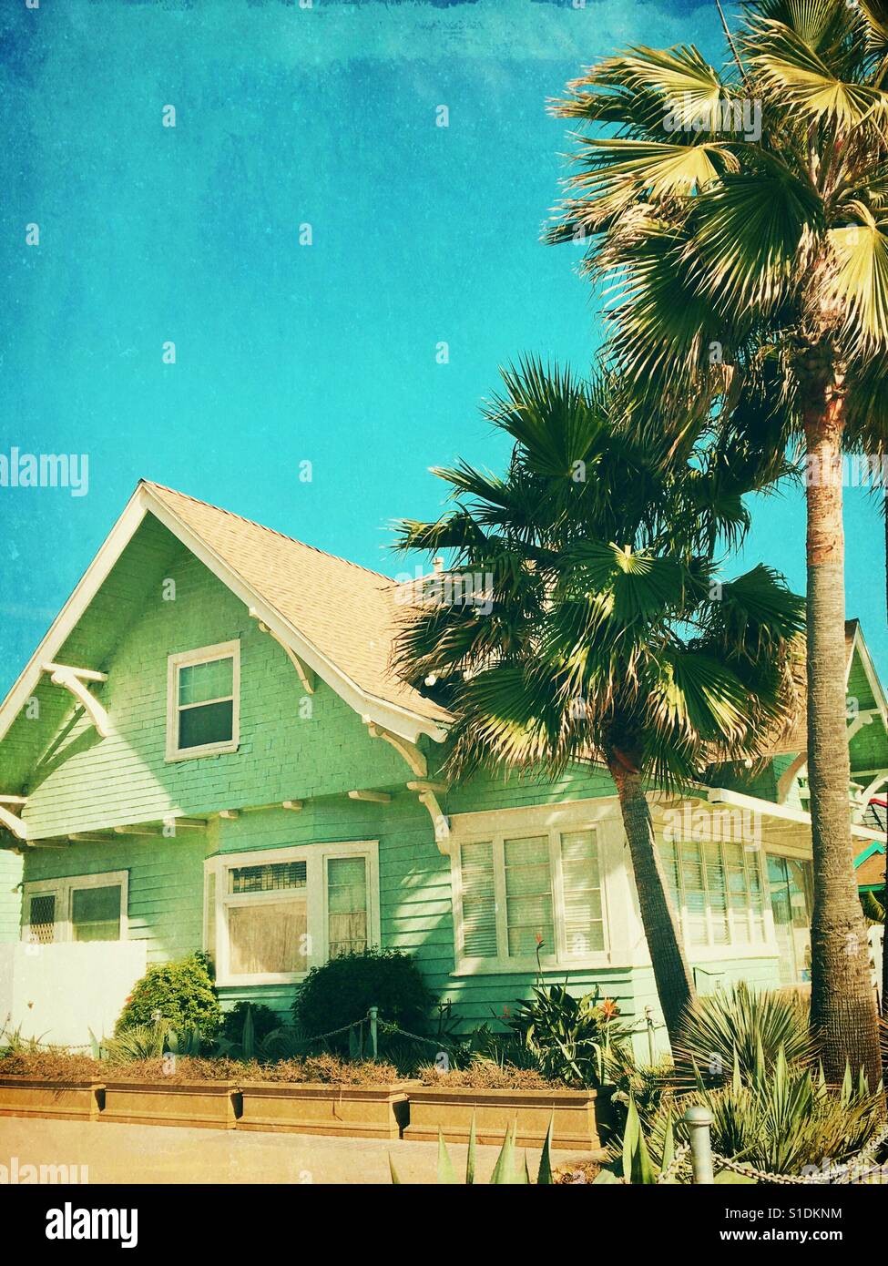 Chambre Turquoise et de palmiers le long d'une journée tropicale. Vintage de modifier. - Image de stock capturée avec un smartphone