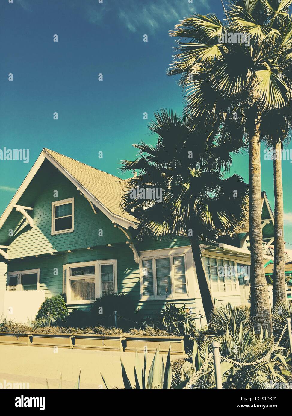 Chambre Turquoise et de palmiers sous un ciel bleu sur une chaude journée ensoleillée. Vintage modifier. - Image de stock capturée avec un smartphone