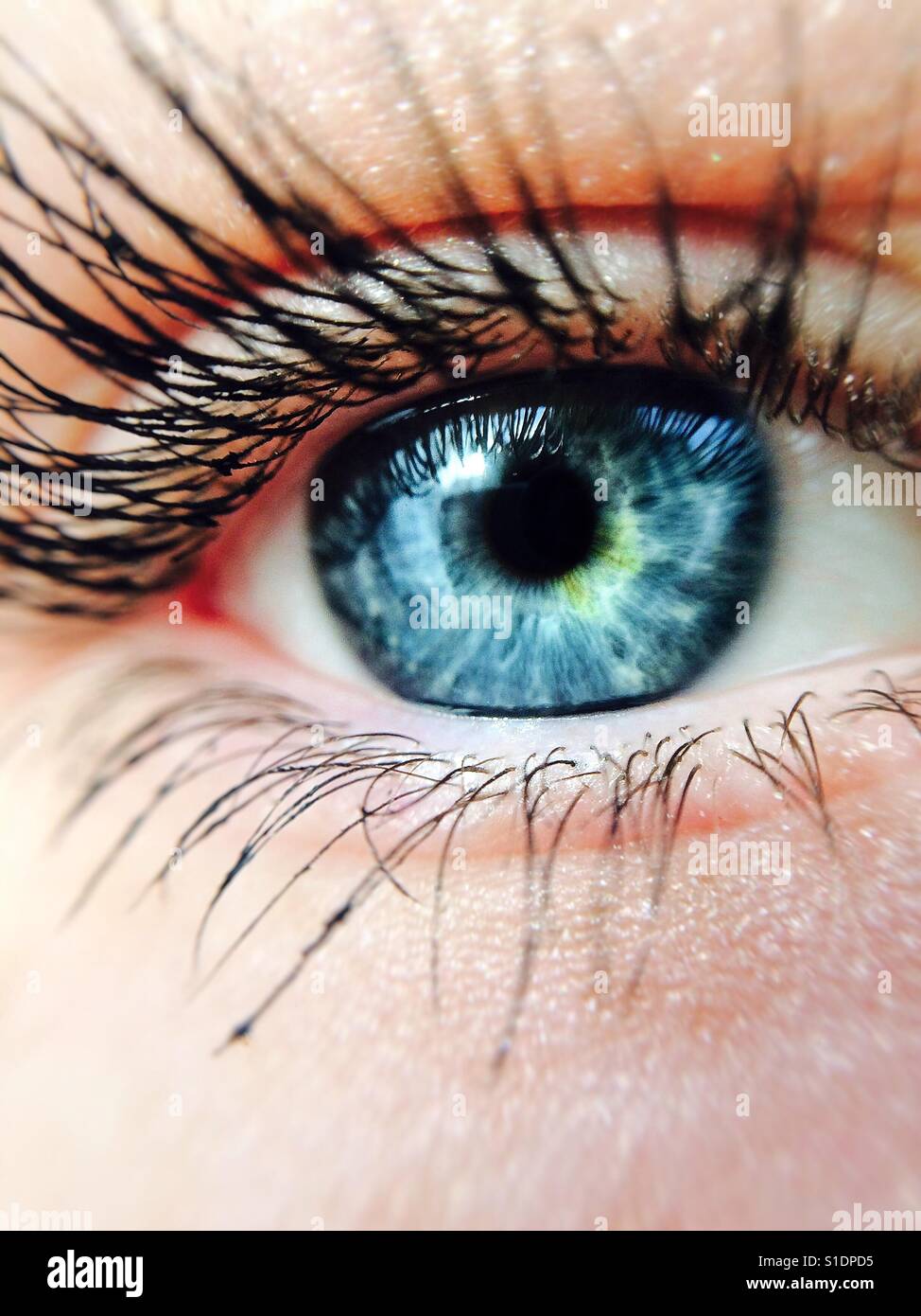 Oeil bleu vert Banque de photographies et d’images à haute résolution — free download