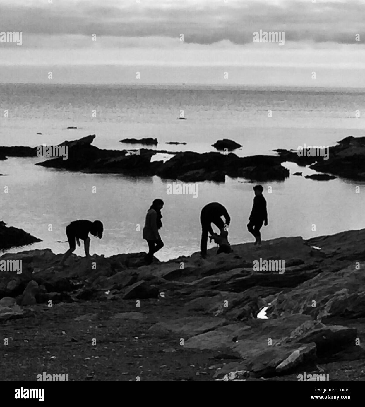 Photo en noir et blanc de la recherche dans la famille des rochers le long du bord de la mer. - Image de stock capturée avec un smartphone