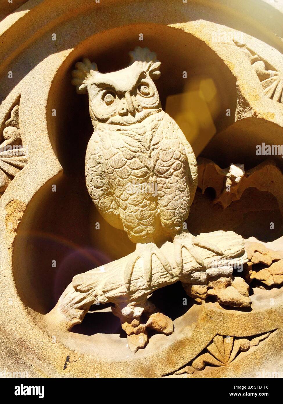 Owl la sculpture sur pierre par Bethesda terrace, Central Park, NYC, USA Banque D'Images