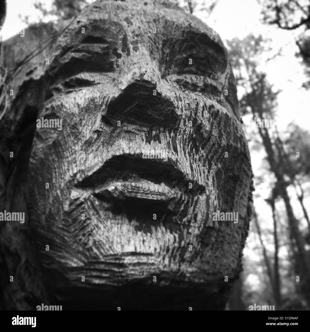 La sculpture sur bois d'un visage de femme - Image de stock capturée avec un smartphone La sculpture sur bois d'un visage de femme - Image de stock capturée avec un smartphone
