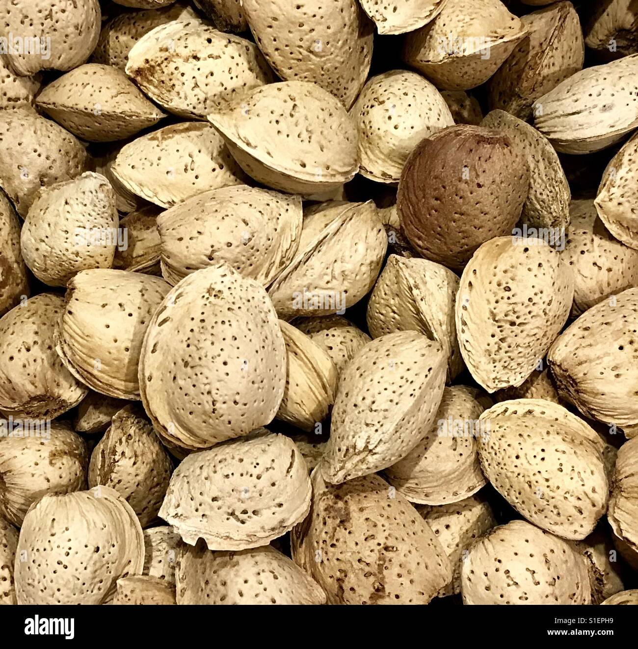 Bijoux cachés : amandes dans le shell - Image de stock capturée avec un smartphone