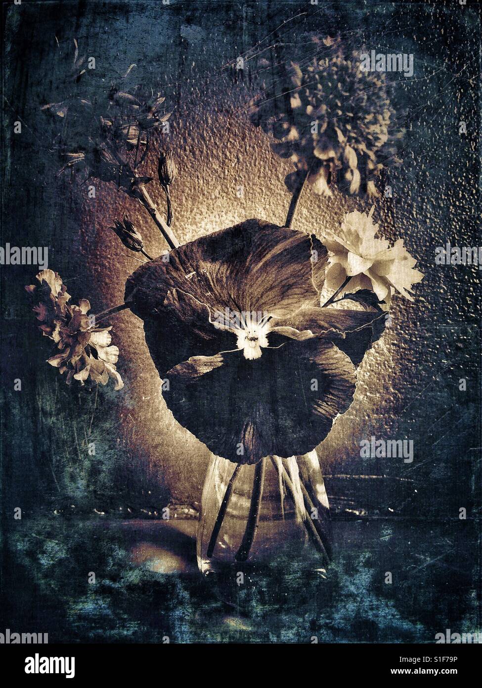 Dark photo de fleurs dans un vase - Image de stock capturée avec un smartphone